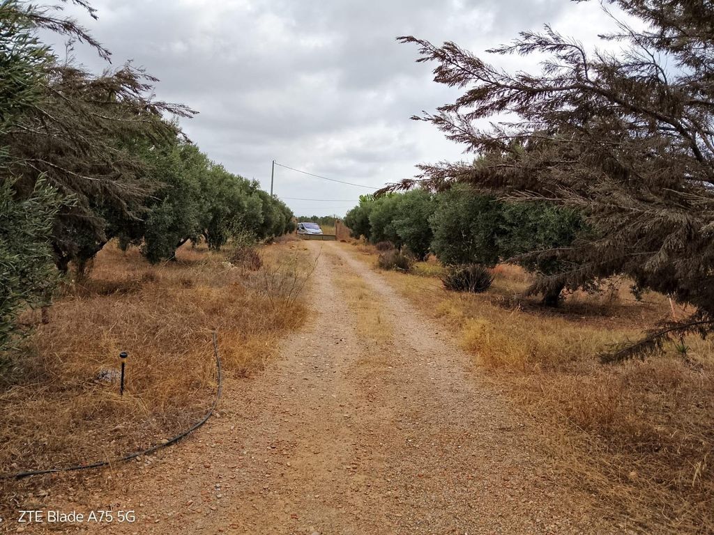 Property photo 3 of 24