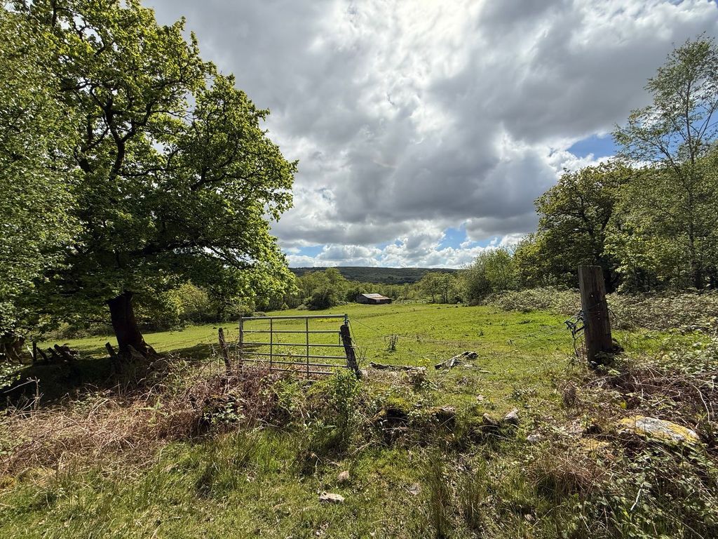Additional image 9 of Farm for saleYnyswen, Penycae SA9