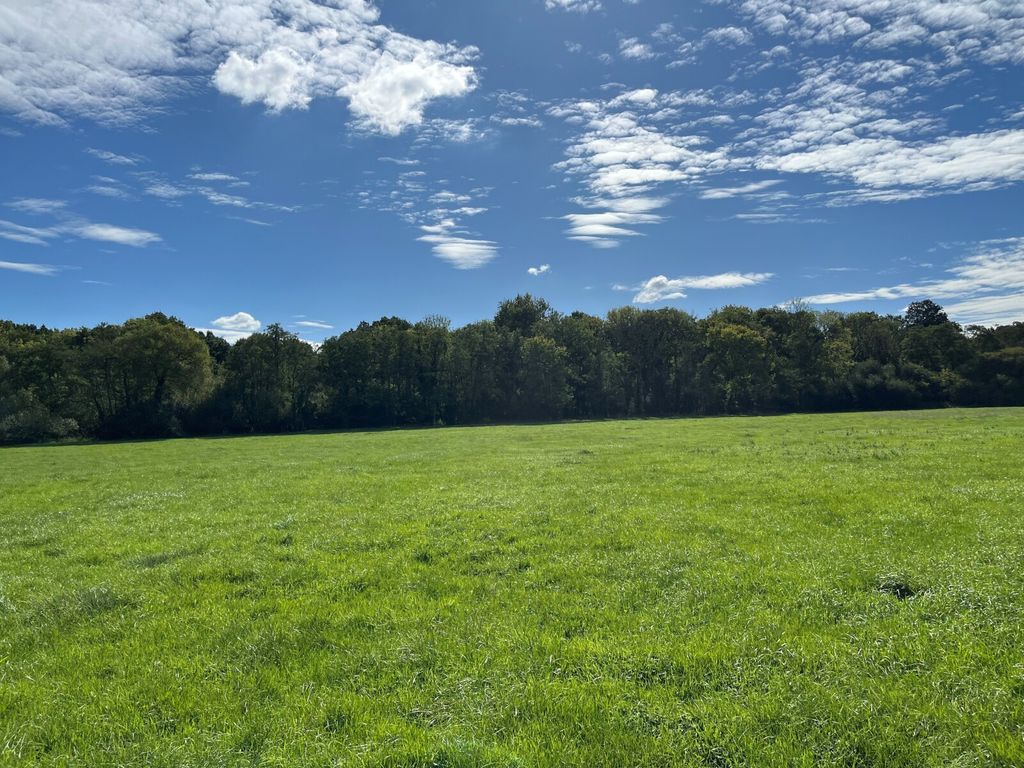 Property photo 3 of 8 Picture No. 13