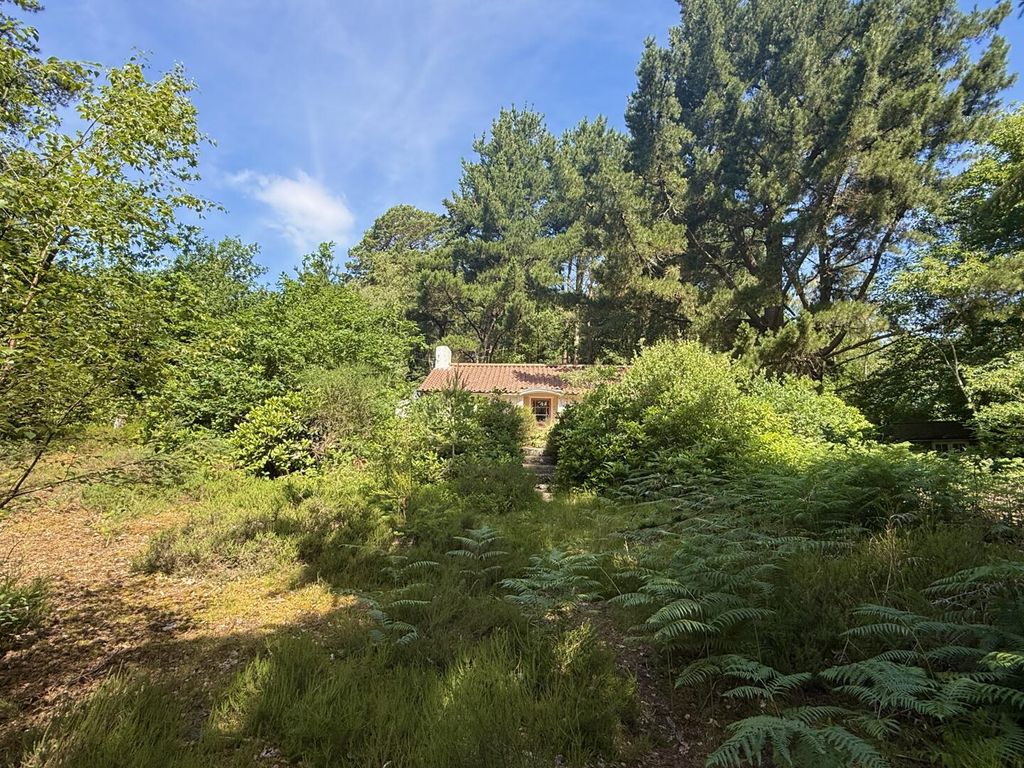 Property photo 3 of 16 Exterior