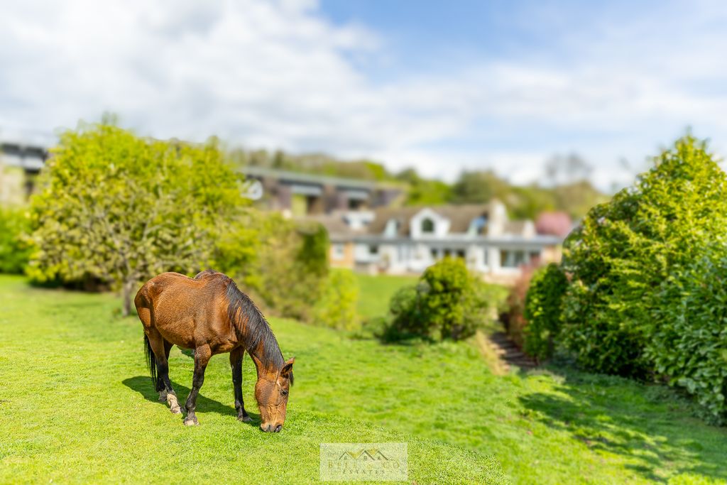 Property photo 3 of 63 Filed At Back Of House 1.5