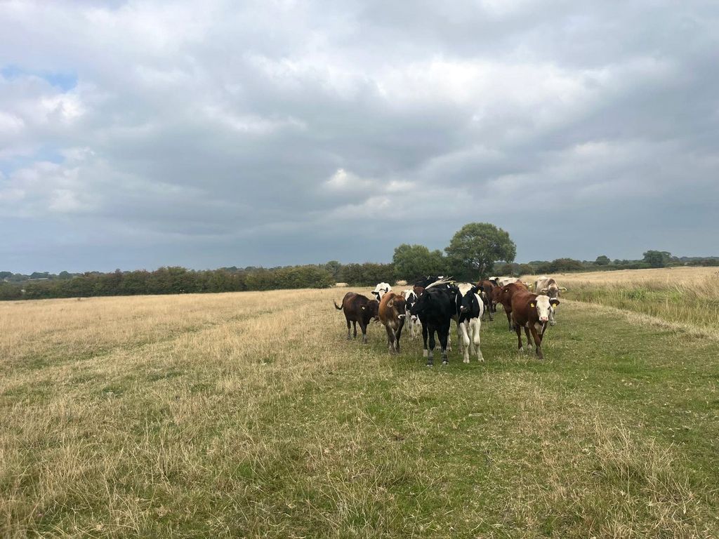 Property photo 3 of 5 Picture No. 03