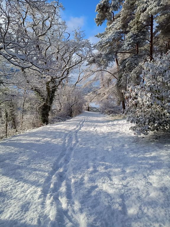 Property photo 3 of 95 Stunning In The Snow!