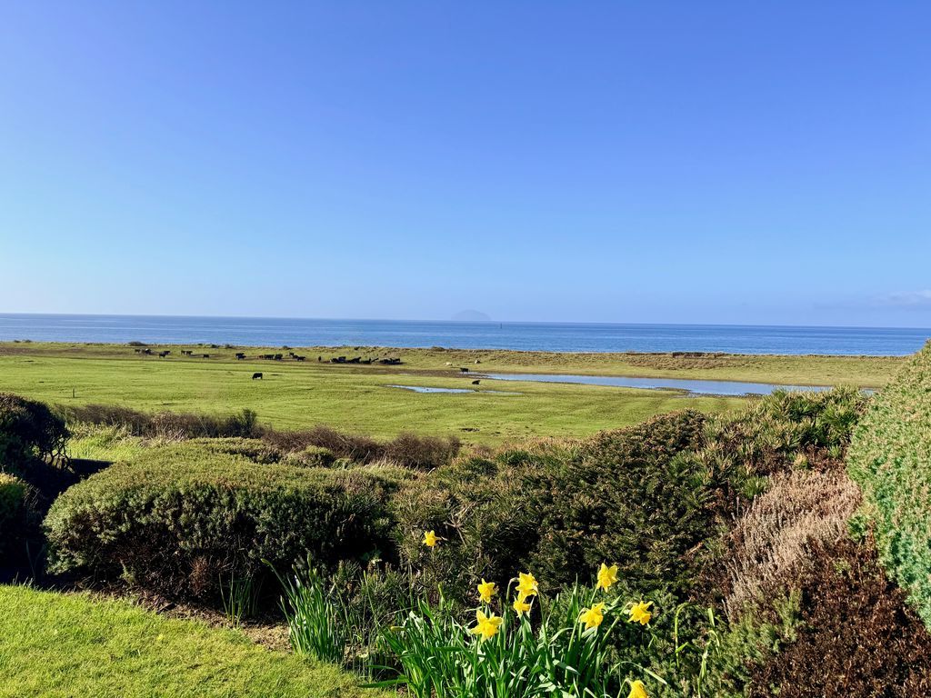 Property photo 3 of 42 Photo 6