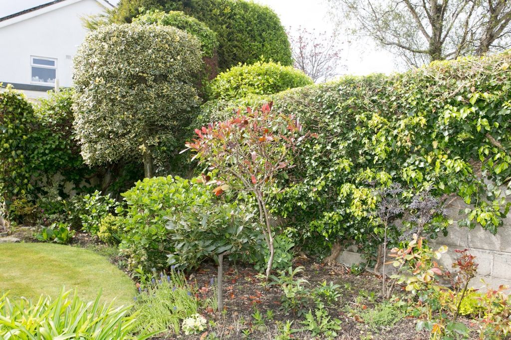 Property photo 3 of 20 Picture No. 05