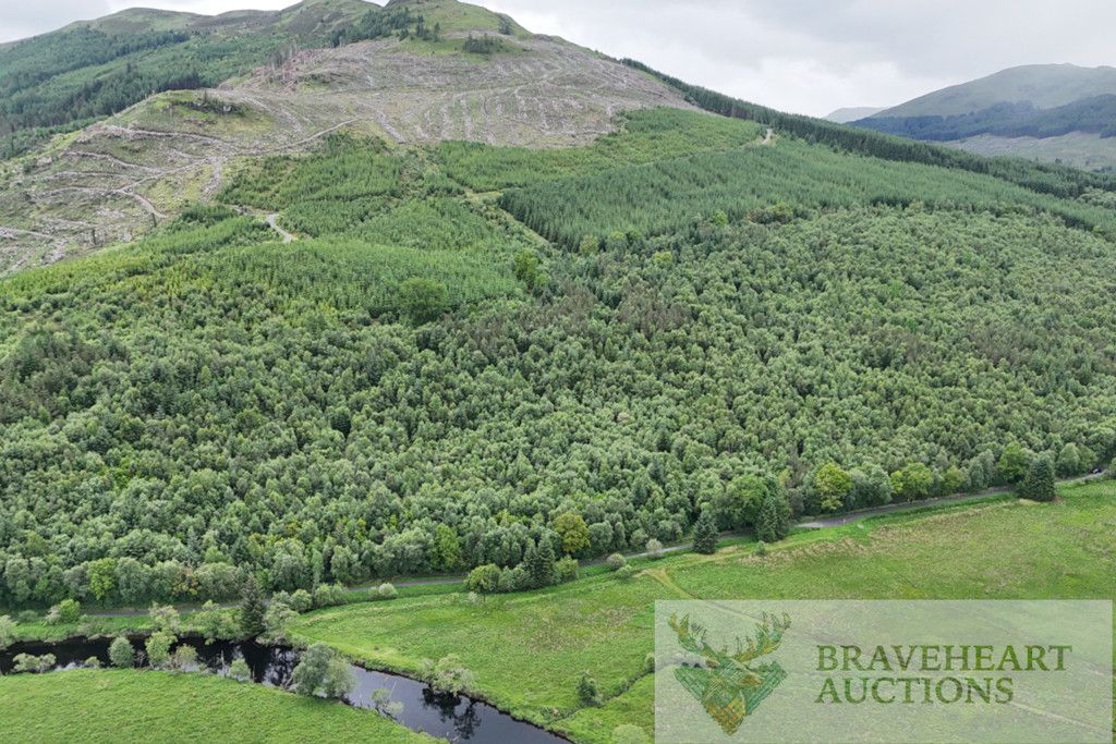 Additional image 5 of Land for saleBraveheart 3, Balquhidder, Lochearnhead, Stirling FK19