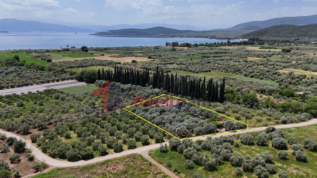 Property photo 3 of 30