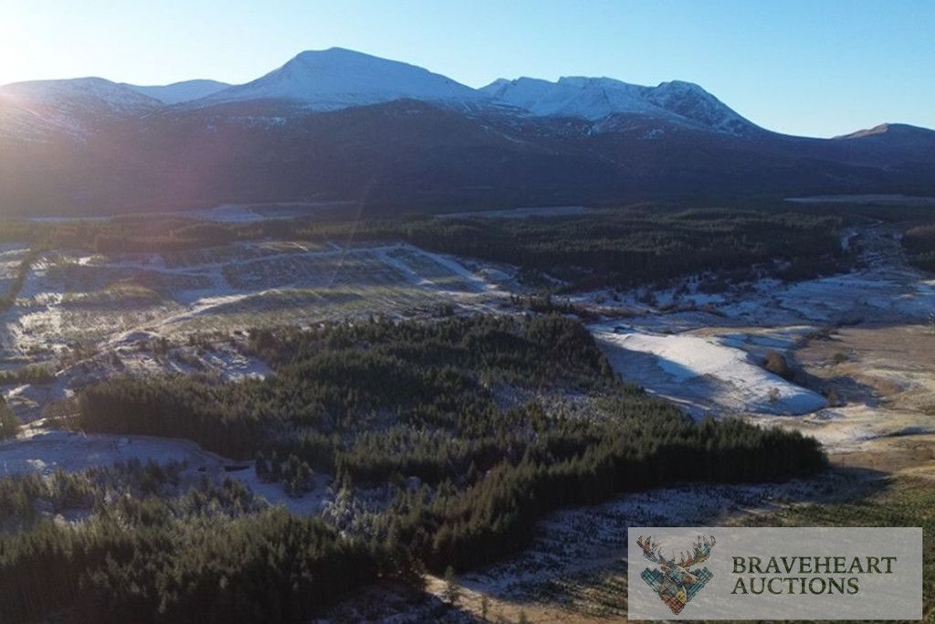 Property photo 1 of 9 Photo 3