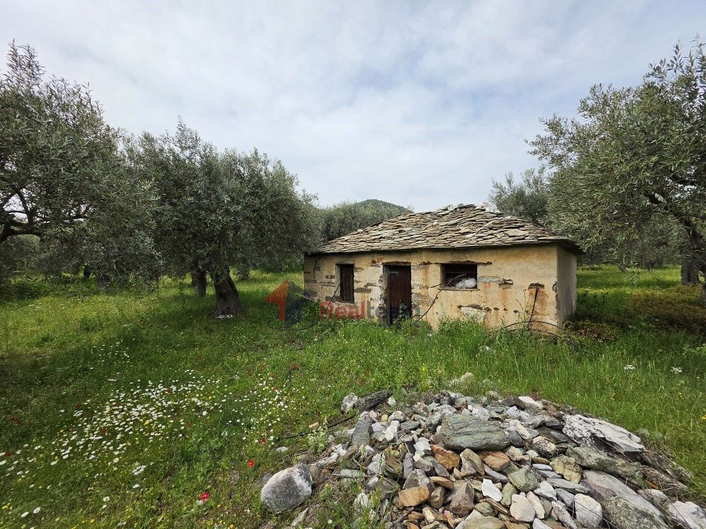 Property photo 1 of 29