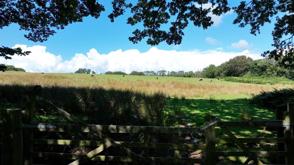 Property photo 2 of 5 Grazing And Wooded Area.Jpg