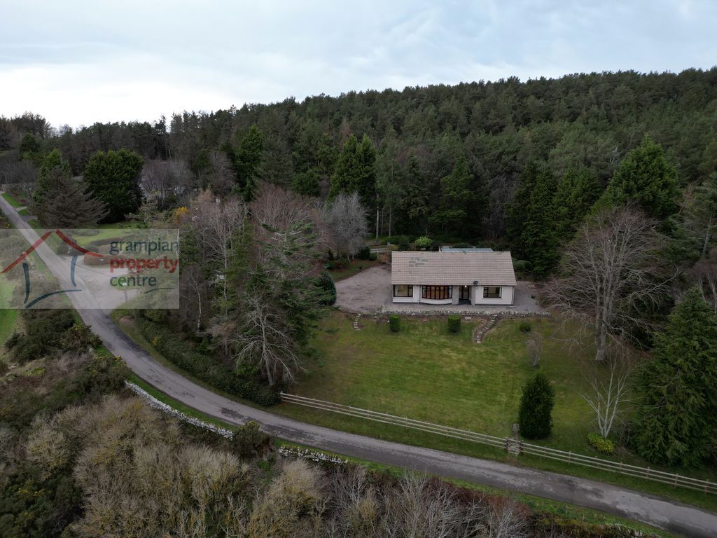 Property photo 1 of 30 Dji_Fly_20251213_194938_26_1765791523254_Photo