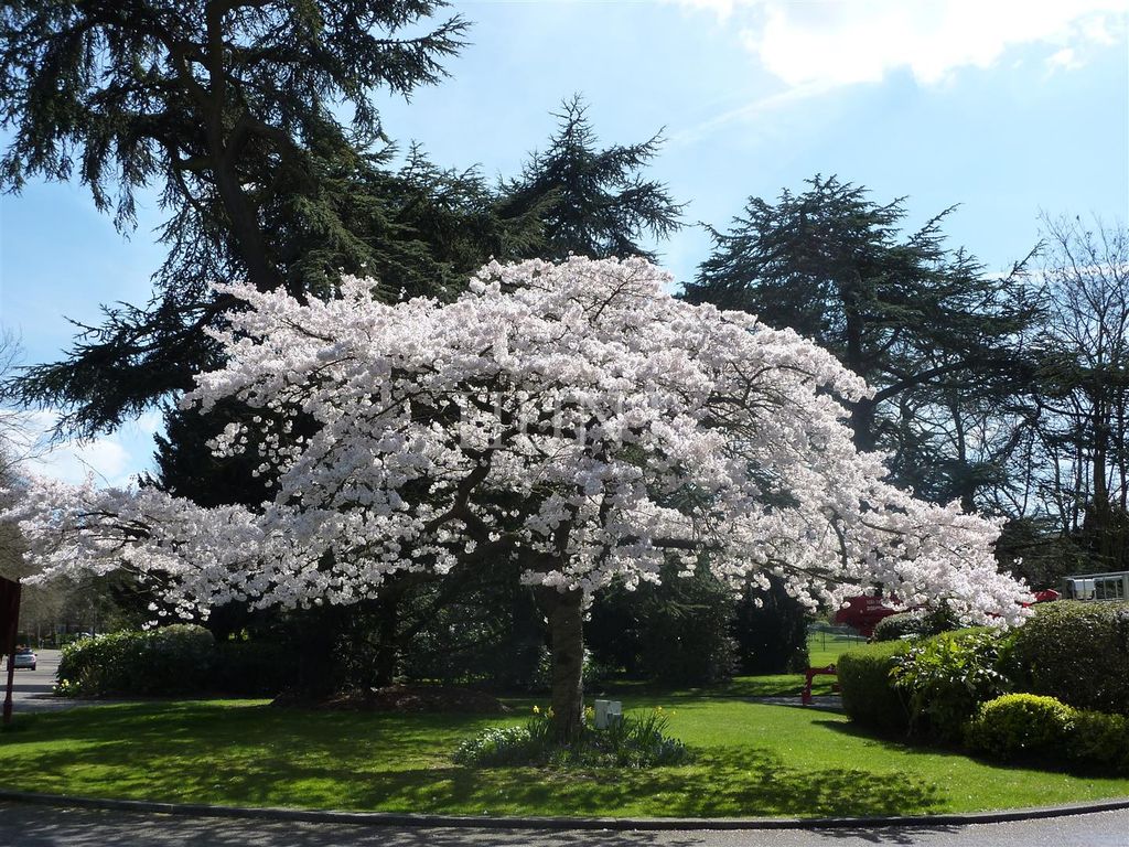 Additional image 42 of 4 bed flat for saleRegents Drive, Repton Park, Woodford Green, Essex IG8