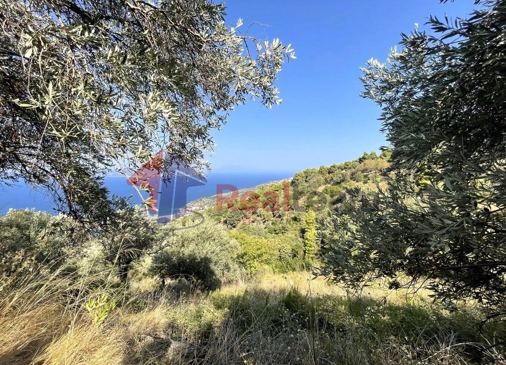 Property photo 3 of 21