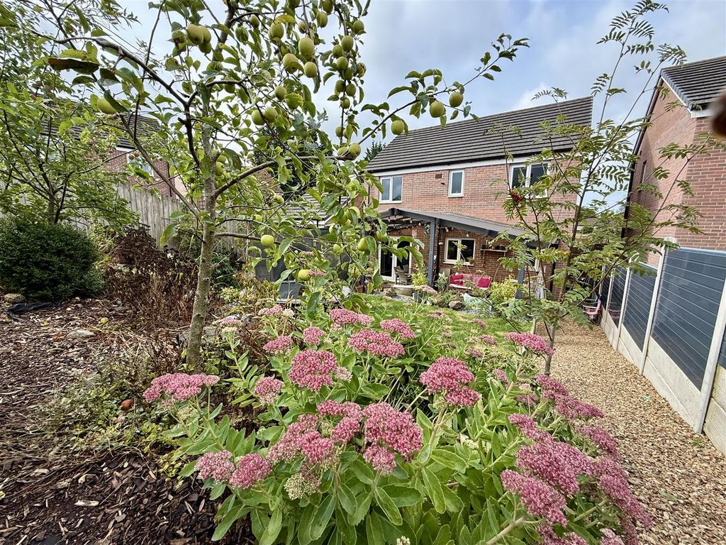 Property photo 3 of 24 Rear Garden