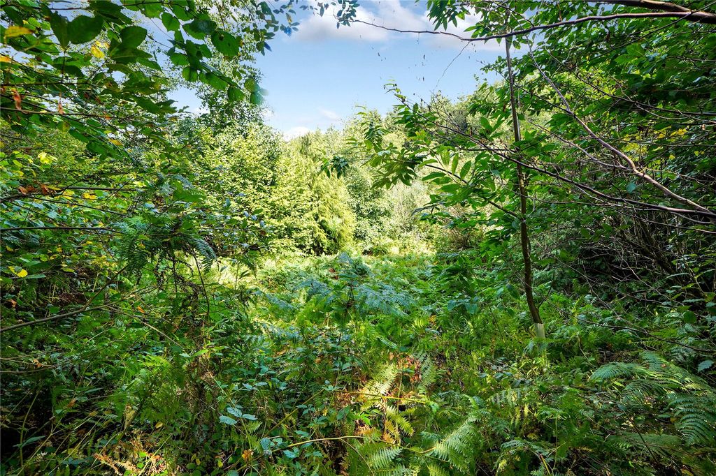 Property photo 3 of 4 Picture No. 03