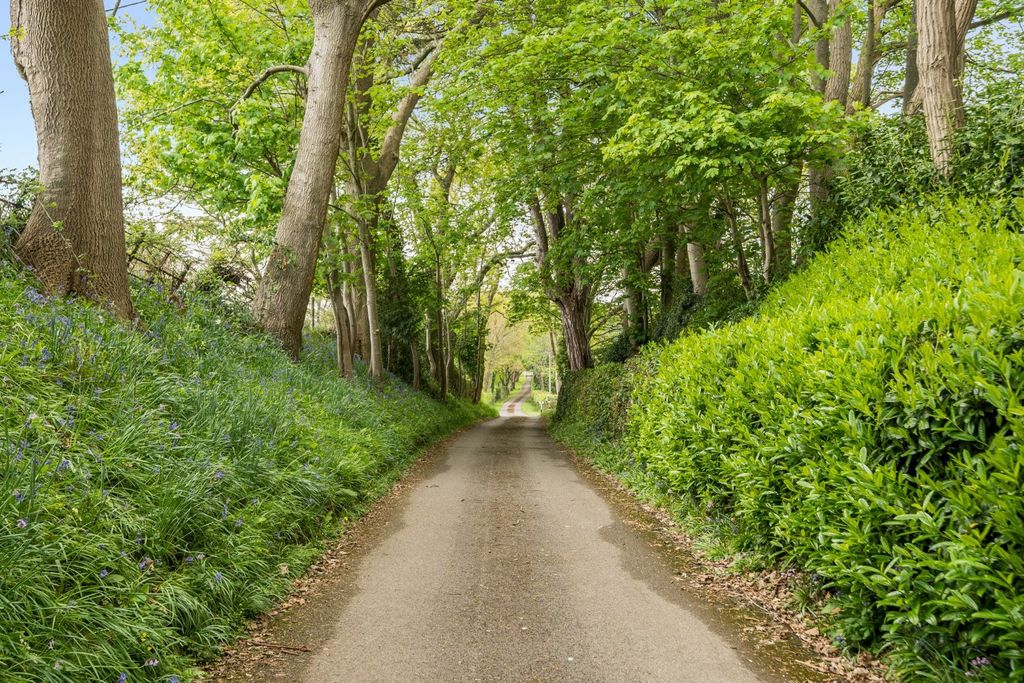 Property photo 2 of 24 Picture No. 06