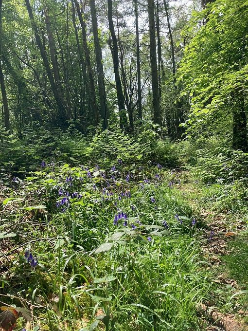 Property photo 2 of 9 Picture No. 10