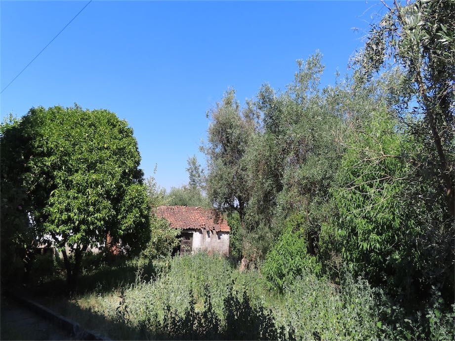 Property photo 2 of 43