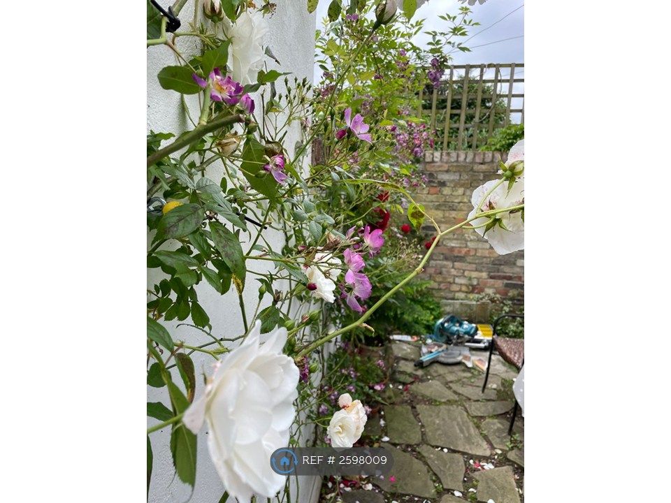 Property photo 3 of 9 The Arbour 1 2024