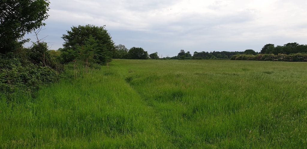 Additional image 12 of Land for saleCommon Road, Diss IP21