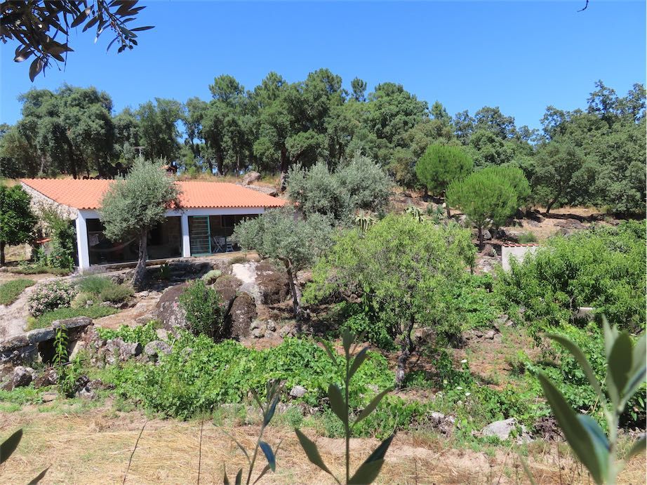 Property photo 2 of 50