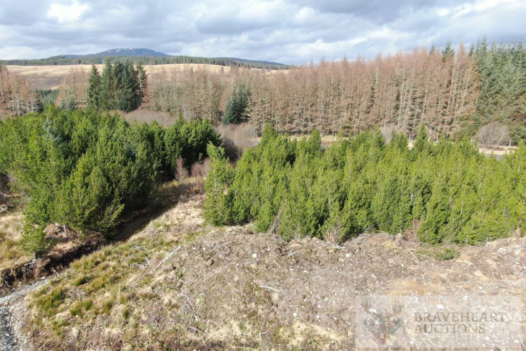 Property photo 3 of 9 Photo 1