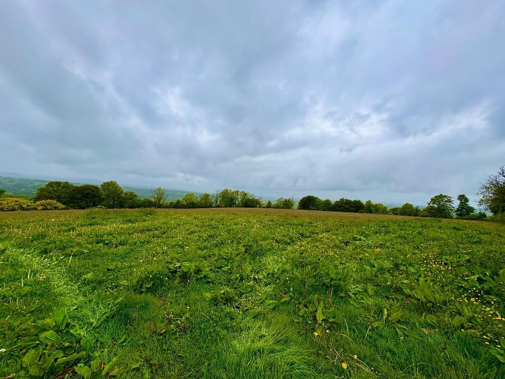 Additional image 5 of Land for saleUnmarked Road, Bancyffordd, Llandysul, Ceredigion SA44