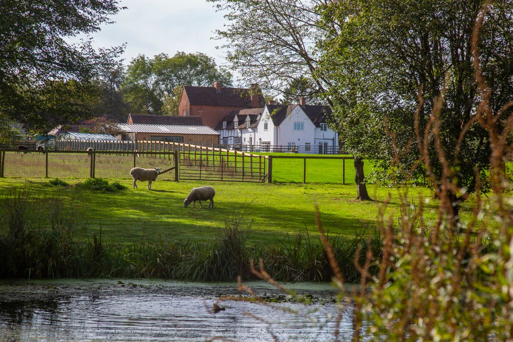 Property photo 2 of 30 View From Lale