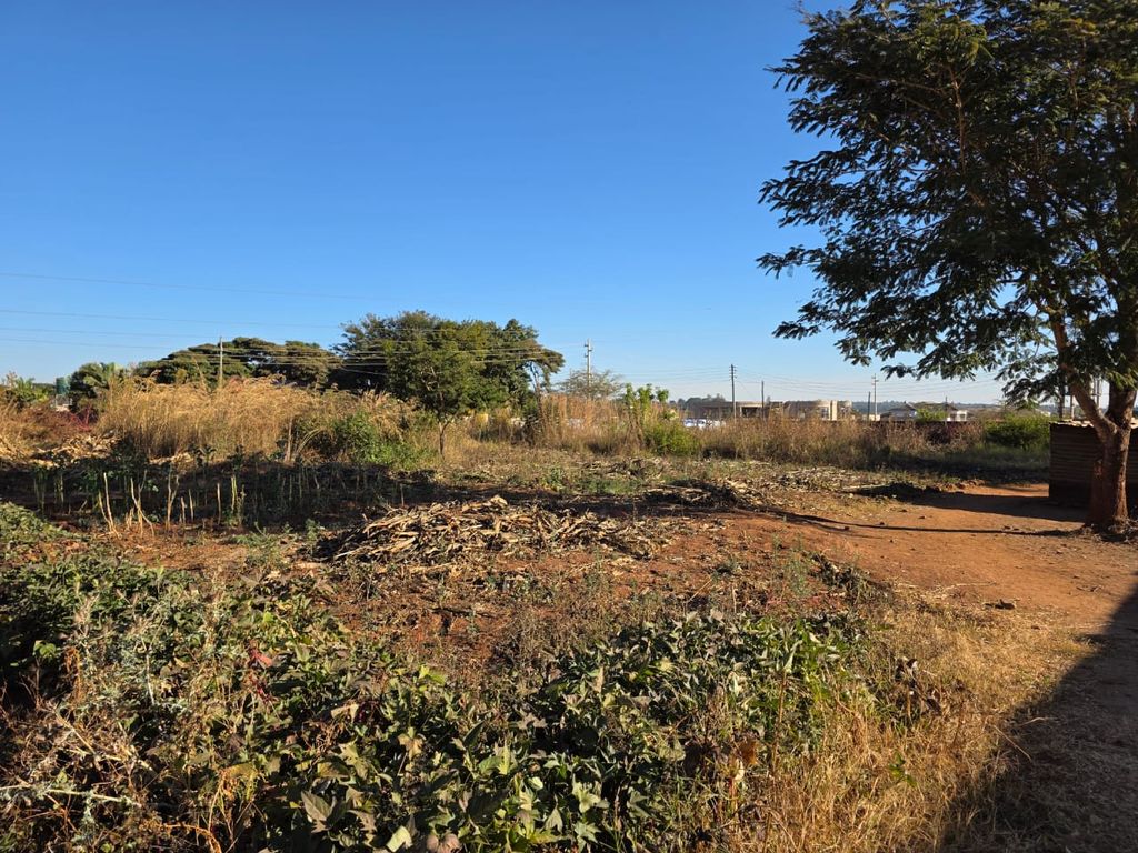 Property photo 2 of 5 A Dry, Open Lot With Scattered Shrubs, A Dirt Path, And A Large Tree On The Right Under A Clear Blue Sky.