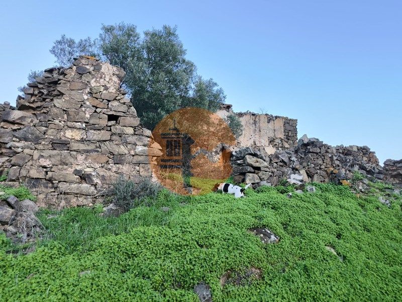Property photo 1 of 31