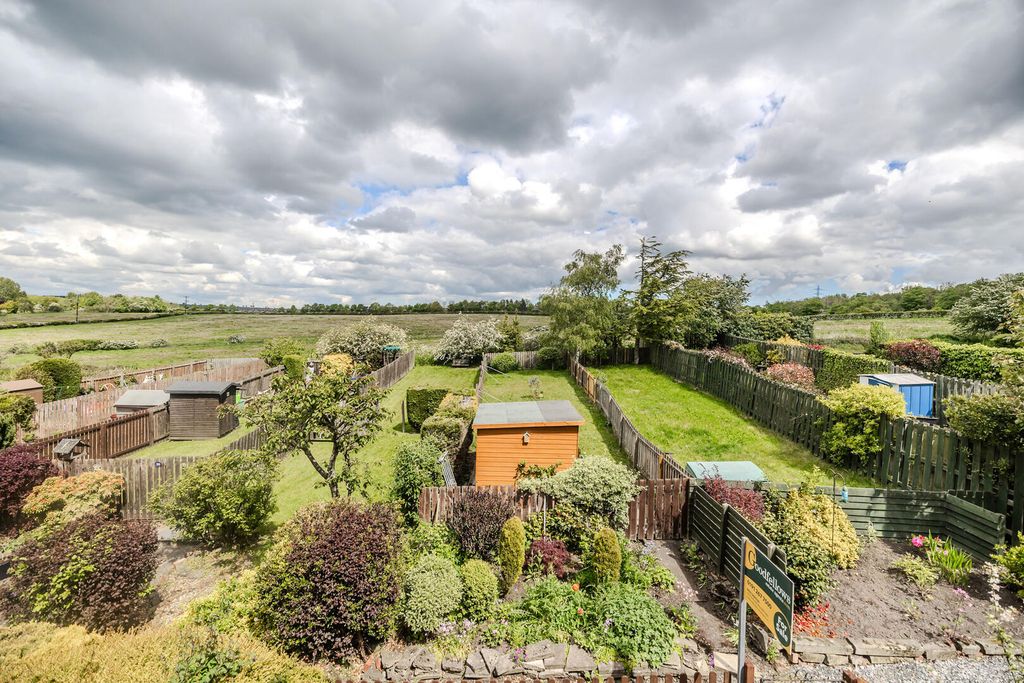 Property photo 3 of 50 Rear Garden