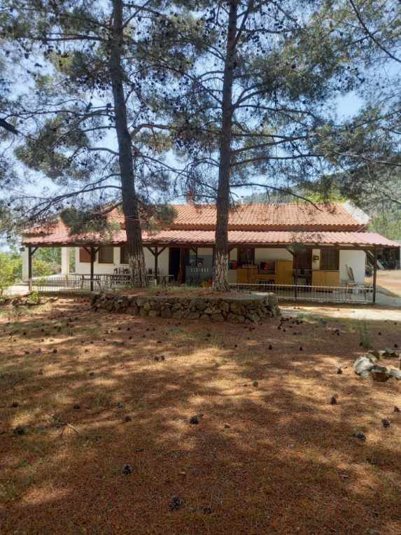 Property photo 2 of 14