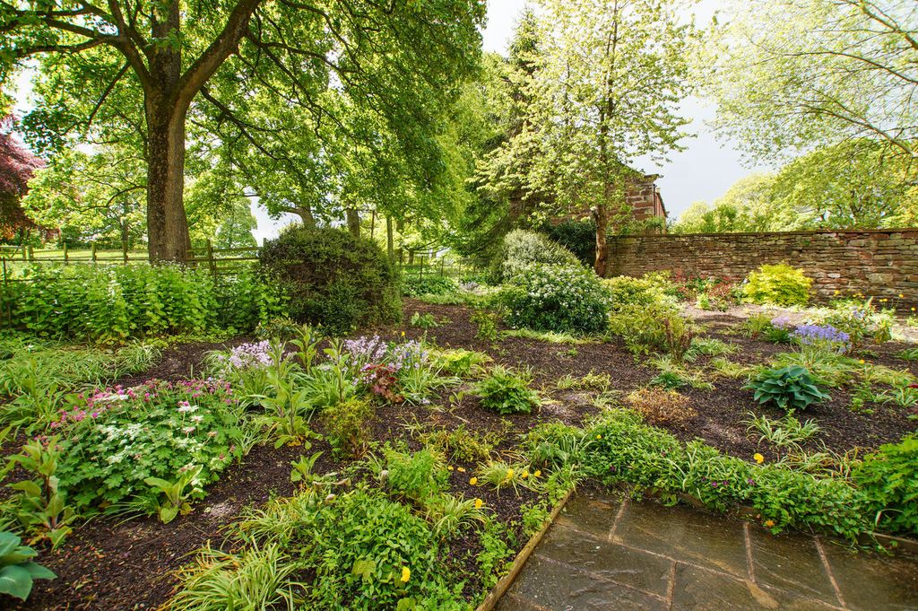 Property photo 3 of 24 Rear Garden