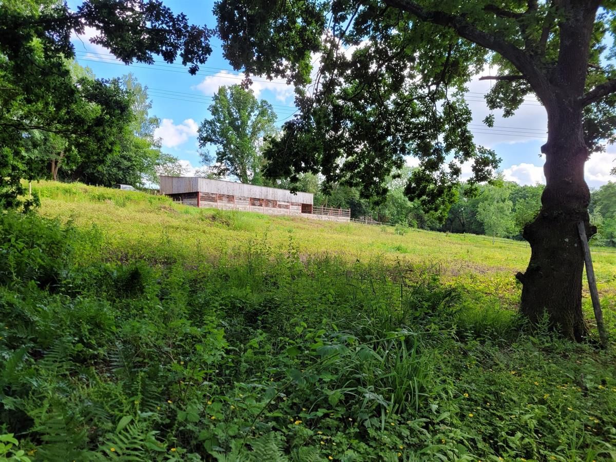 4 bed detached house for sale in Crittenden Road, Matfield, Tonbridge