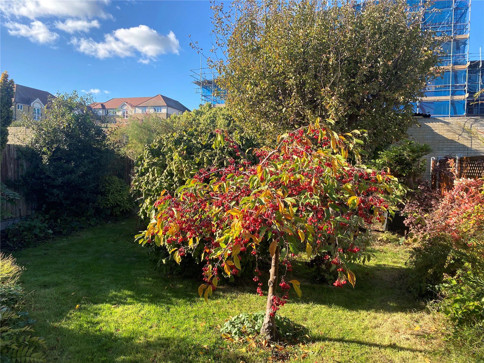 3 bed bungalow for sale in Queens Road, Rayleigh, Essex SS6 Zoopla