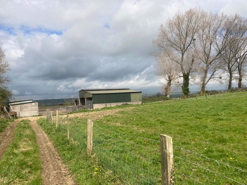 Land for sale in Ansford Hill, Castle Cary BA7 Zoopla