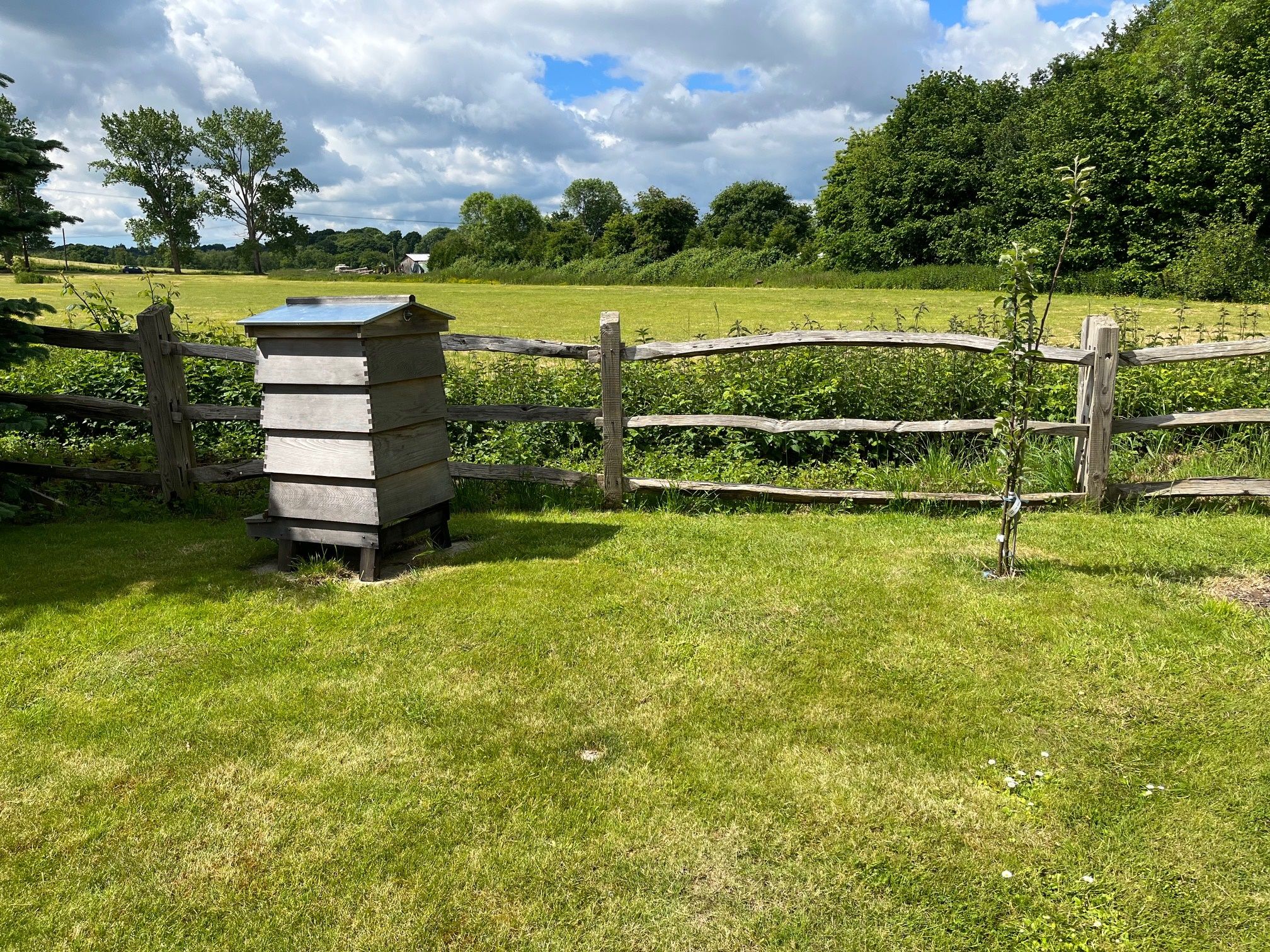 3 bed semidetached house for sale in Albert Cottages, Sheffield Park