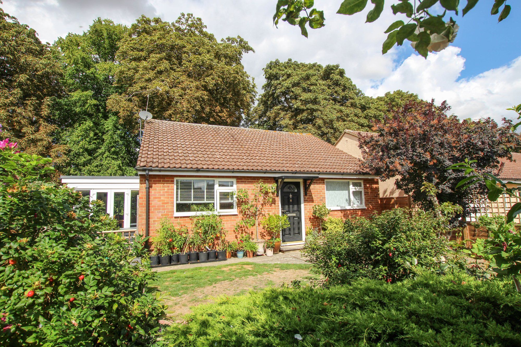 2 bed detached bungalow for sale in Butler Close, Saffron Walden CB11