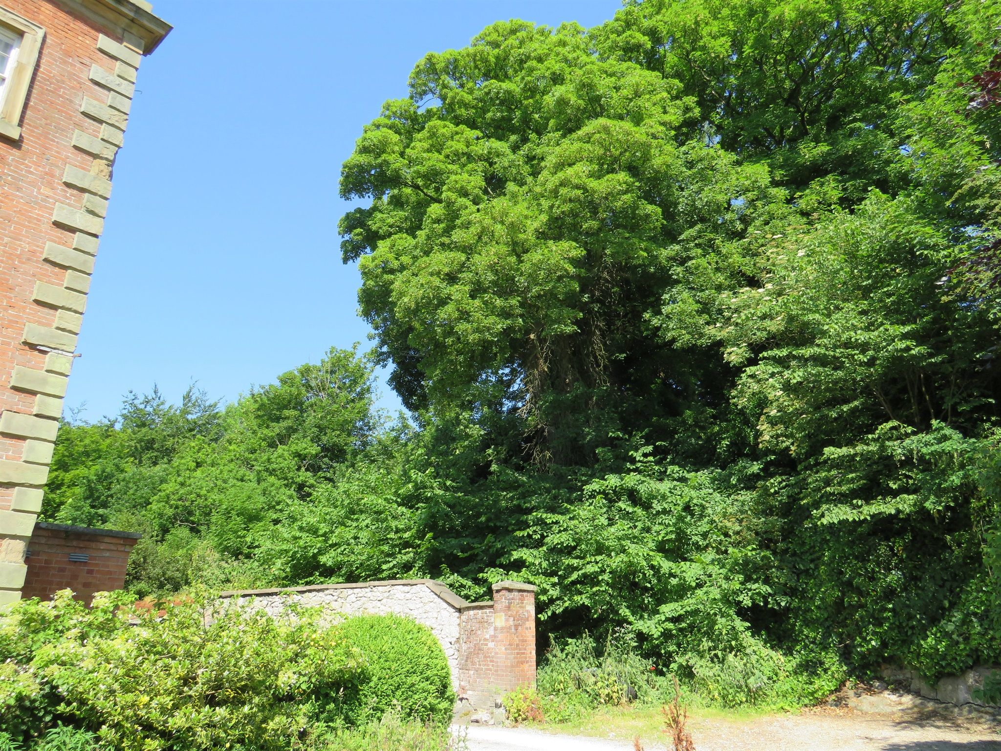 Land for sale in Gatehouse Drive, Wirksworth, Matlock DE4 Zoopla