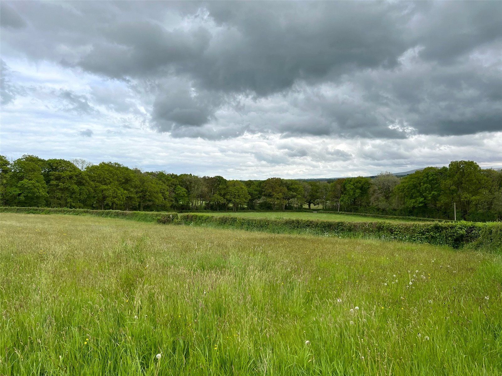 Land for sale in Broadwoodkelly, Winkleigh, Devon EX19 Zoopla