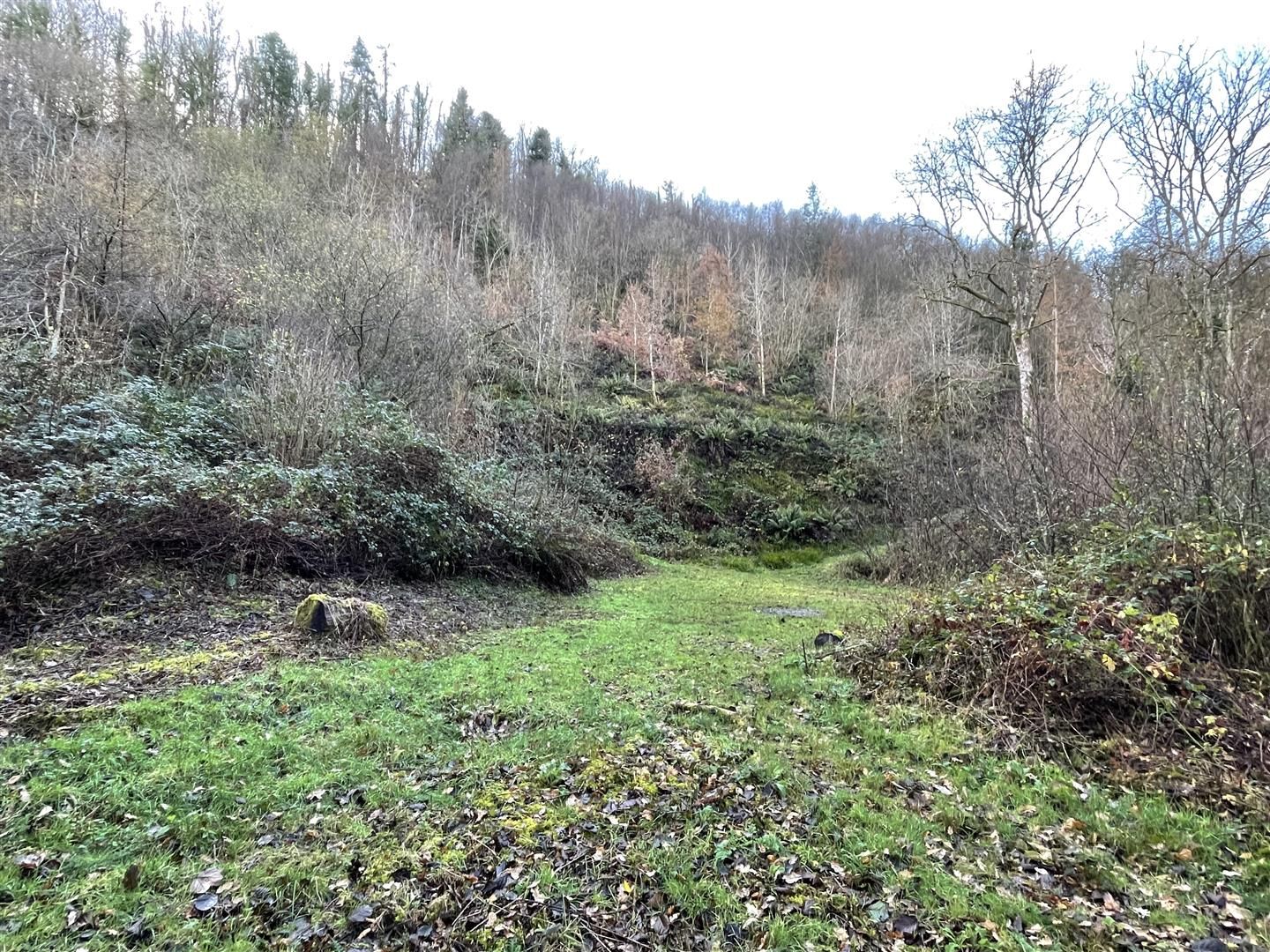 Land for sale in Llanarthney, Carmarthen SA32 Zoopla