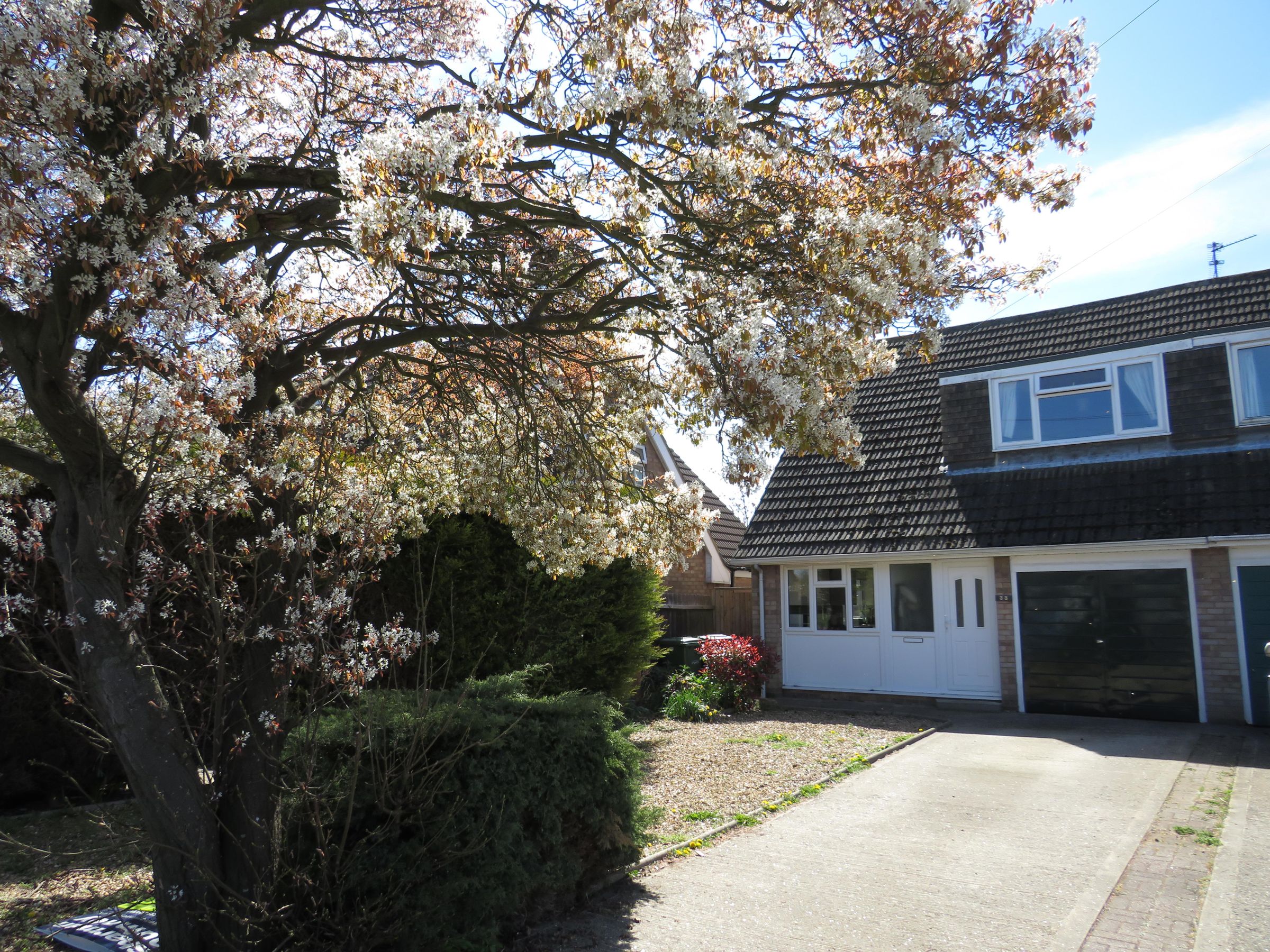3 bed semidetached house to rent in Oakleigh Drive, Orton Longueville