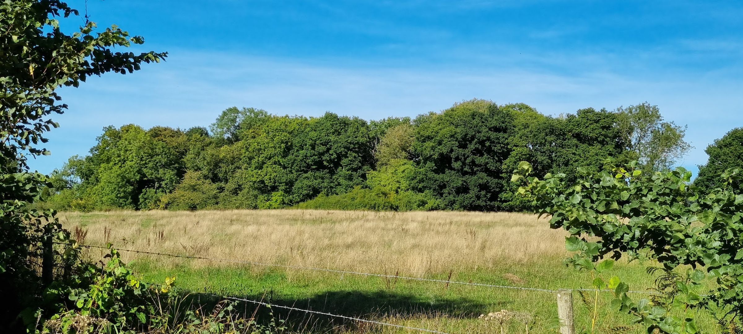 Land for sale in Flaunden Lane, Hertfordshire HP3 Zoopla
