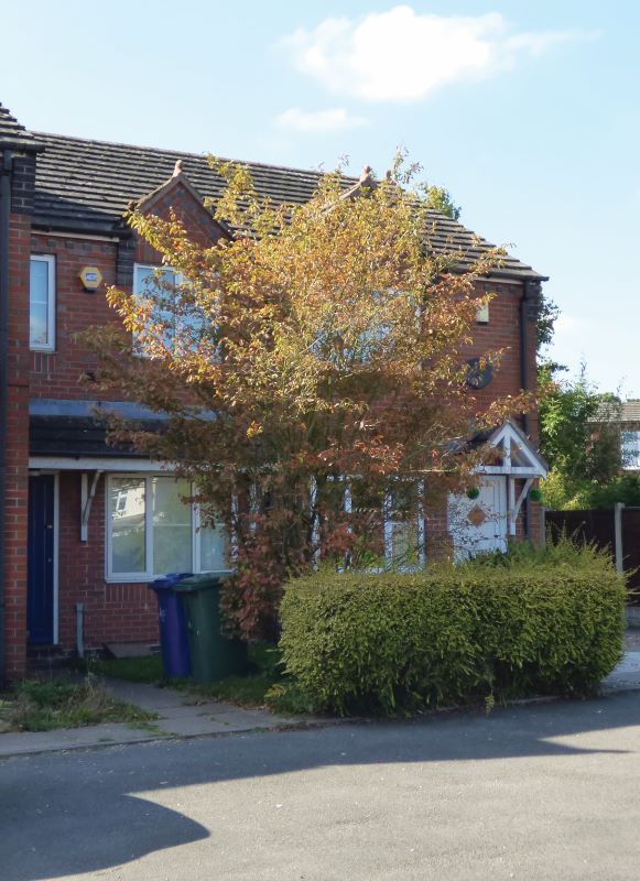 Land for sale in Freehold Ground Rents, 4 & 10 Festival Mews