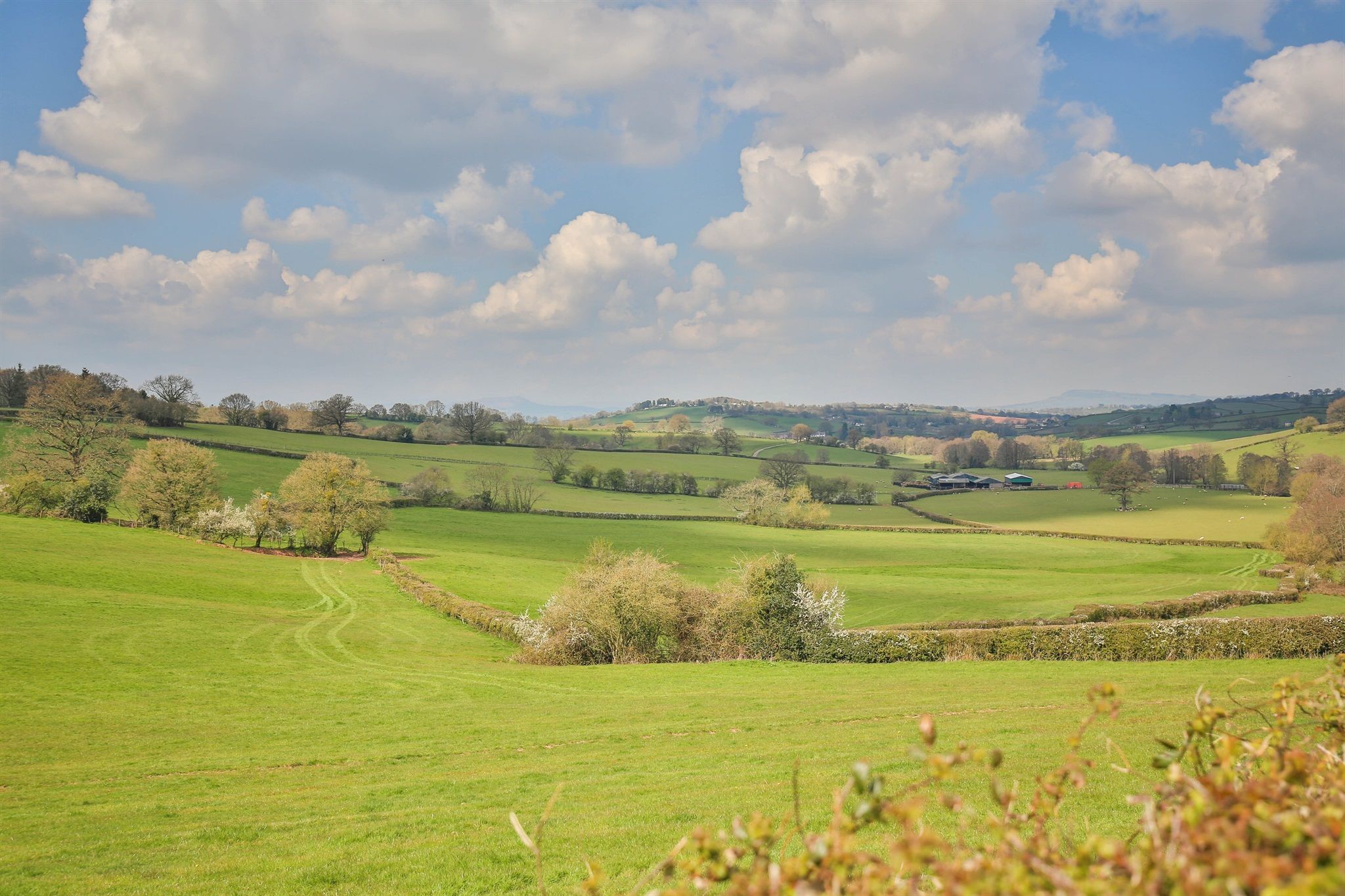 House For Sale Usk Wales at Cory Wedel blog