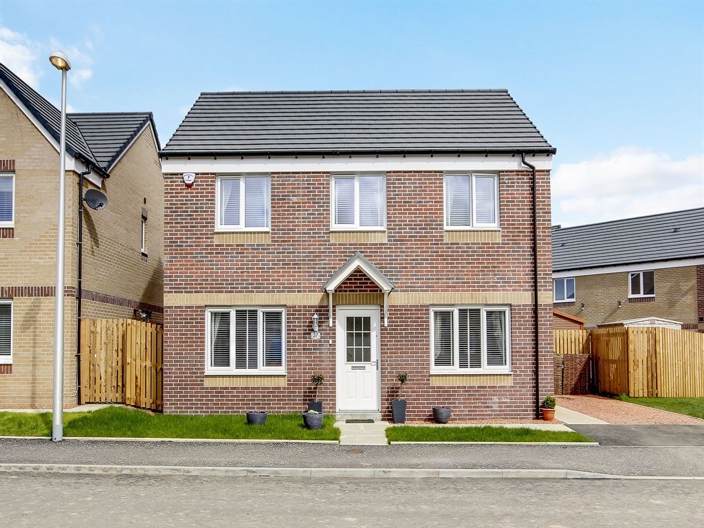 The Ettrick at Boydstone Path, Glasgow G43  