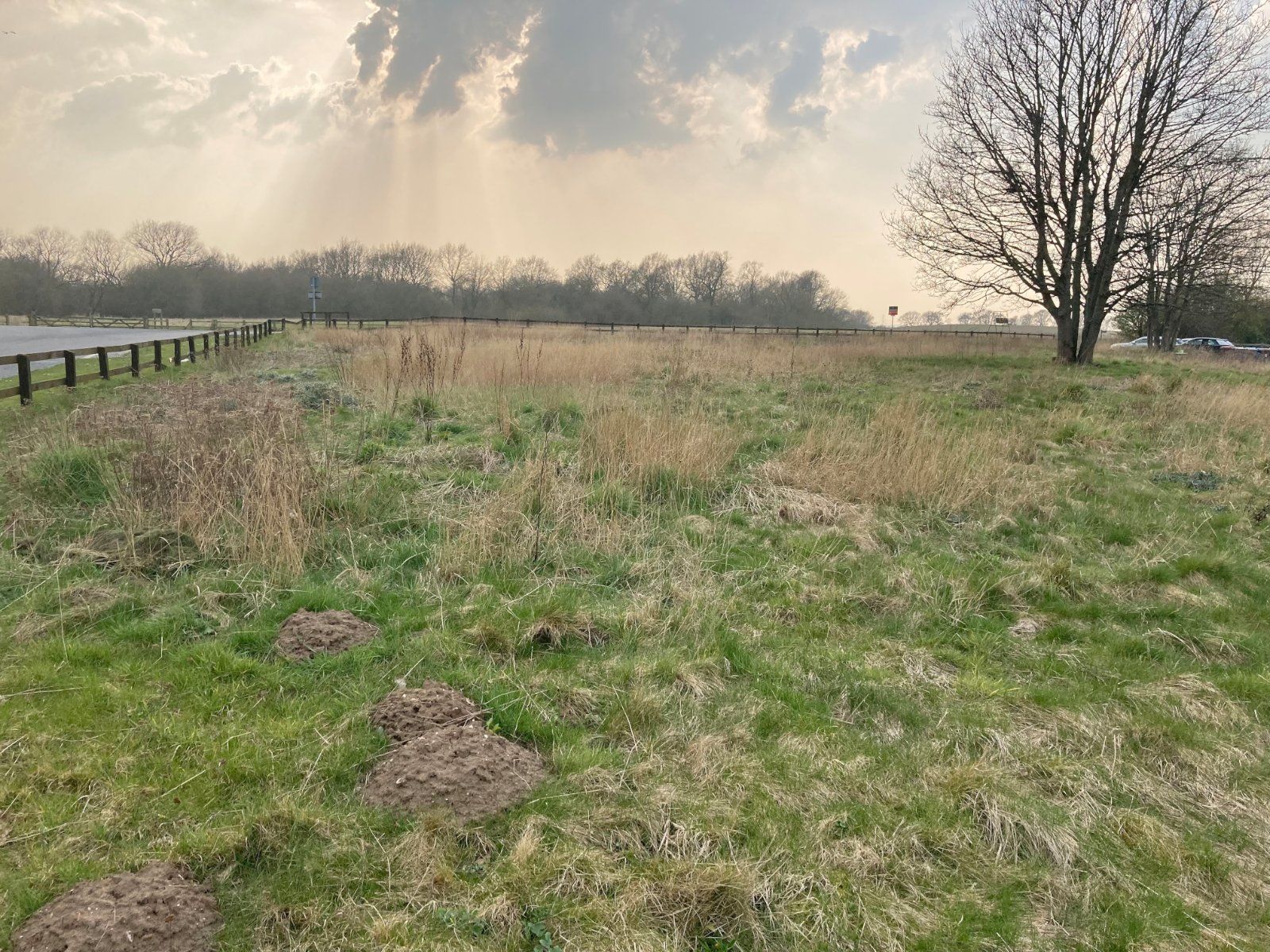 Land for sale in Selby Road, Howden, Goole DN14 Zoopla