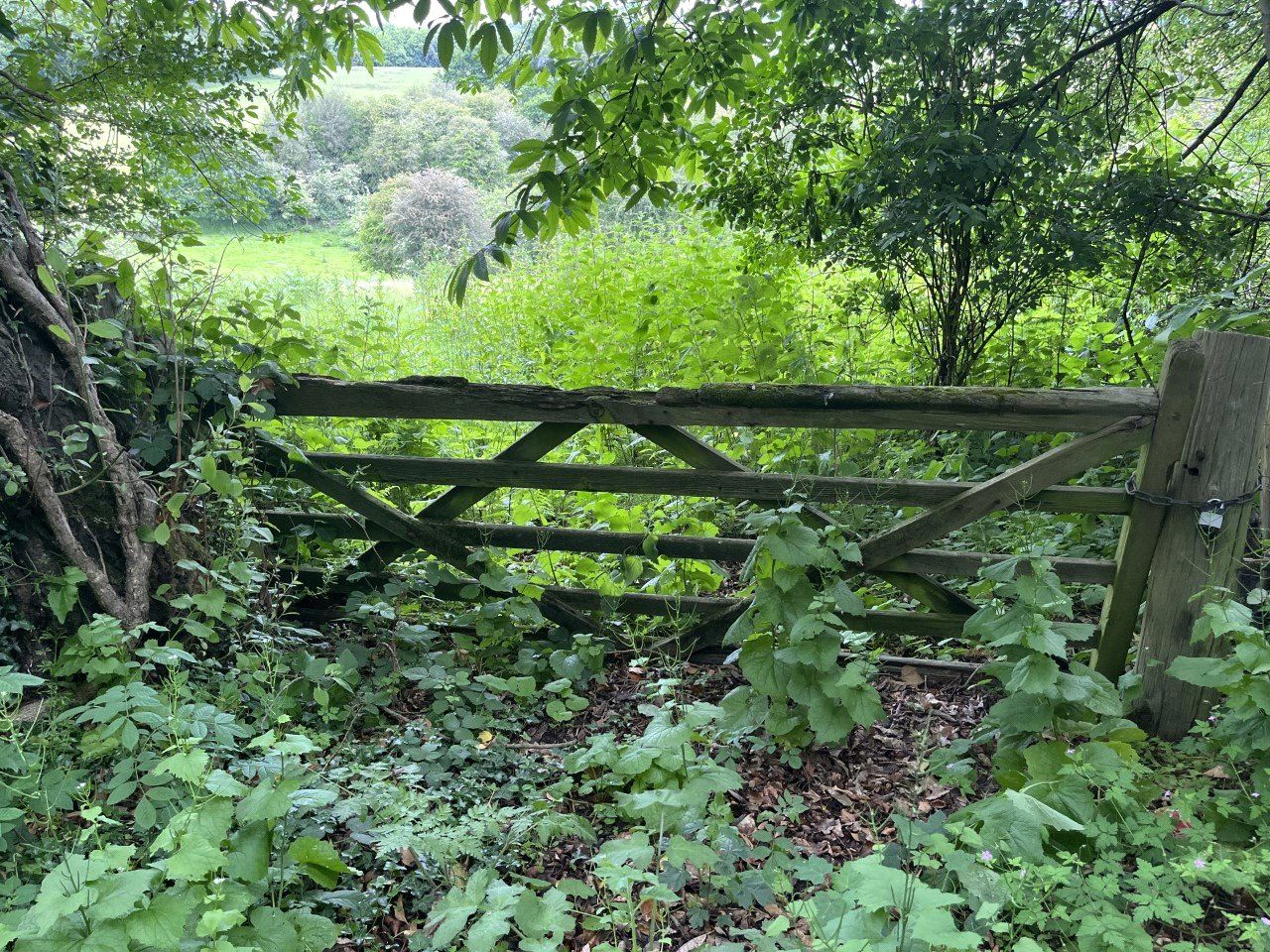 Land for sale in Pashley Road, Ticehurst, East Sussex TN5 Zoopla