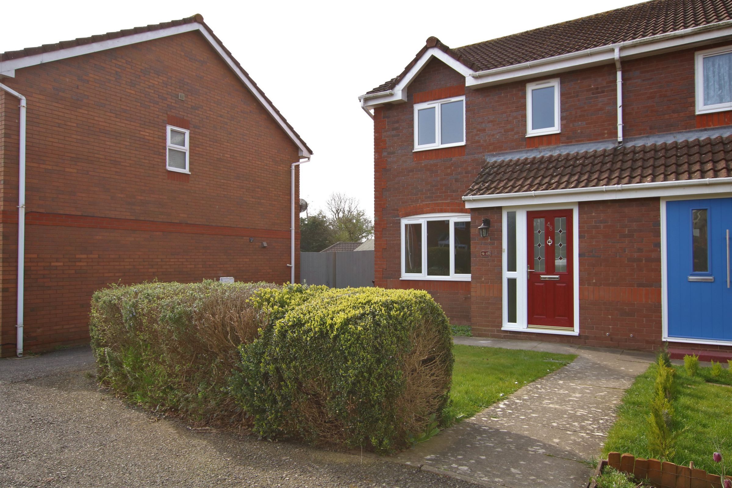 3 bed semidetached house to rent in Mountain Ash Close, Hailsham BN27