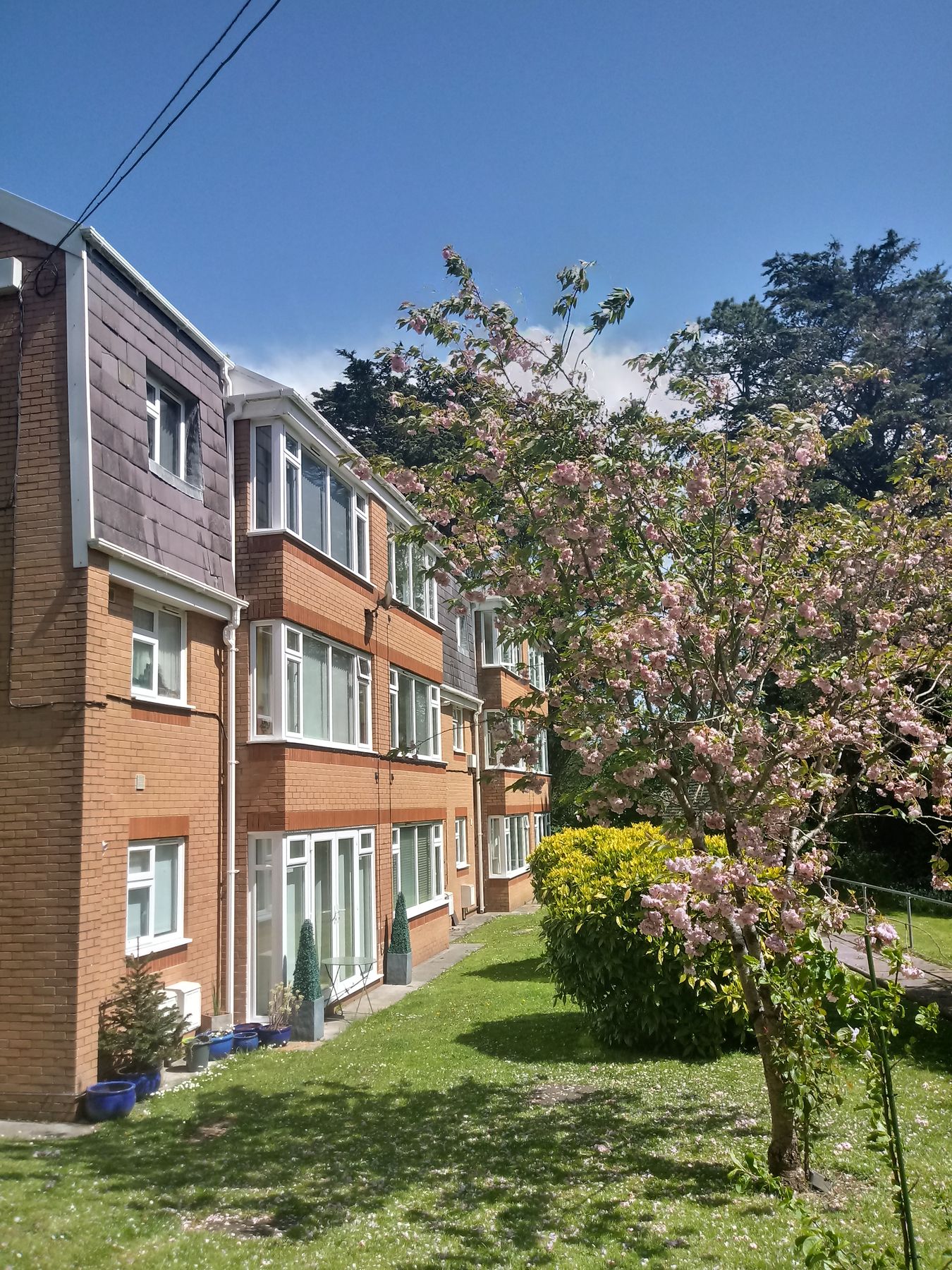 1 bed flat to rent in Llwyn Y Mor, Caswell, Swansea SA3 Zoopla